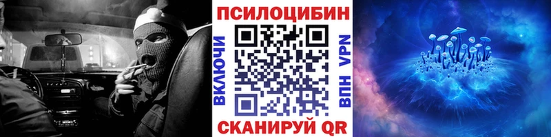 Купить где  Тверь  Псилоцибиновые грибы мицелий 